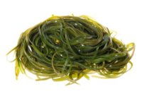 Las algas podrían servir para combatir la caries 