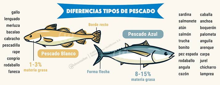 Resultado de imagen de diferenciar pescado azul y blanco