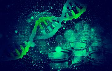 Causas de la esclerosis lateral amiotrófica Causas de la esclerosis lateral amiotrófica