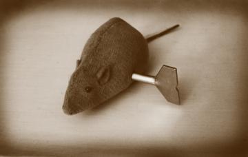 Consiguen dar marcha atrás al envejecimiento Consiguen dar marcha atrás al envejecimiento en ratones