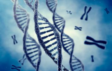 Análisis genómico y medicina personalizada Análisis genómico y medicina personalizada