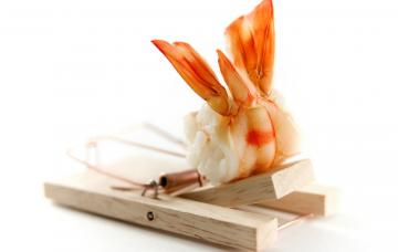 Dieta y gota Dieta y gota