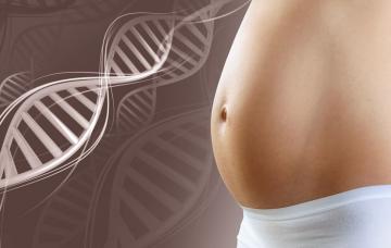 Consulta genética en el embarazo: cuándo conviene pedir la opinión de un genetista Consulta genética en el embarazo