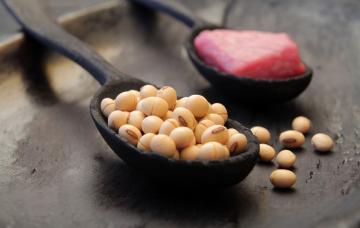 Mejores alternativas vegetales a la carne Judías en una cuchara como alternativa a la carne