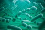 Bacterias de neumonía