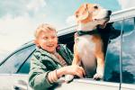 Un niño y su perro se asoman desde la ventanilla de un coche