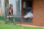 Fumigación para prevenir el Chagas
