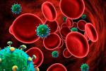Virus Inmunodeficiencia Humana (VIH) al microscopio