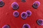 Clamidia Clamidia al microscopio