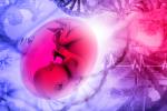 Placenta envejecida: riesgos para el bebé