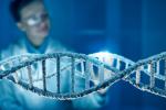 Una mutación en un gen puede prolongar diez años la vida humana