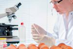 Científica en laboratorio investigando la salmonella