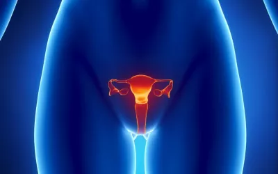 Histerosalpingografía Histerosalpingografía, salud en el útero
