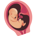 Imagen del feto en el cuarto mes de embarazo