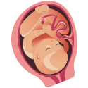 Imagen del feto en el noveno mes de embarazo