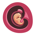Imagen del embrión en el primer mes de embarazo