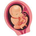 Imagen del feto en el séptimo mes de embarazo