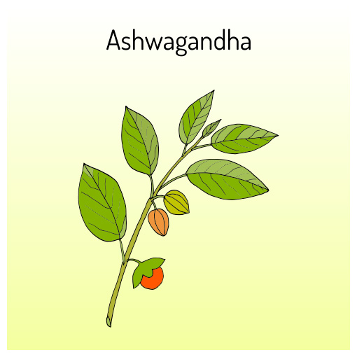 Ashwagandha