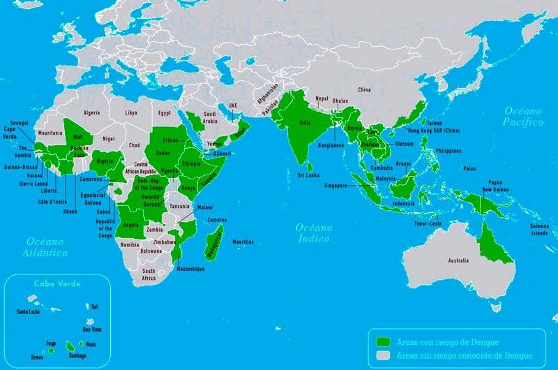 Mapa dengue Afríca y Asia