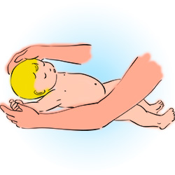 Desarrollo de las manos