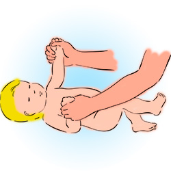 Musculatura de la zona superior