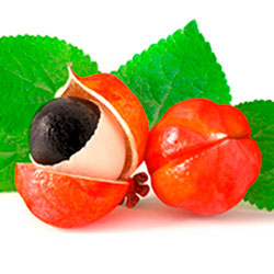 Guaraná