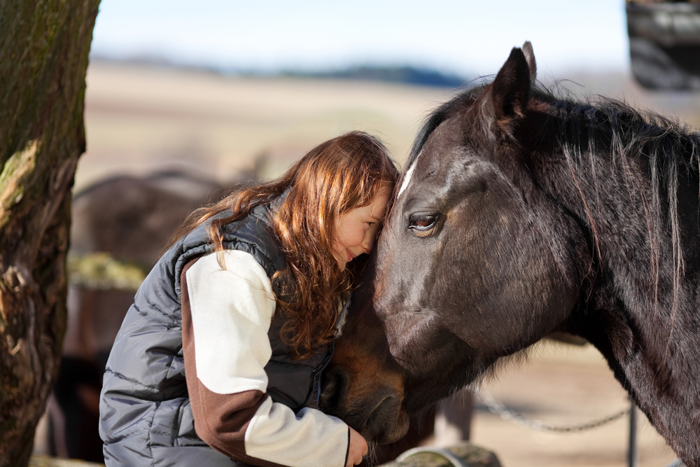 Ventajas del fruto por alimento Una joven apoya la frente en la cabeza de su caballo