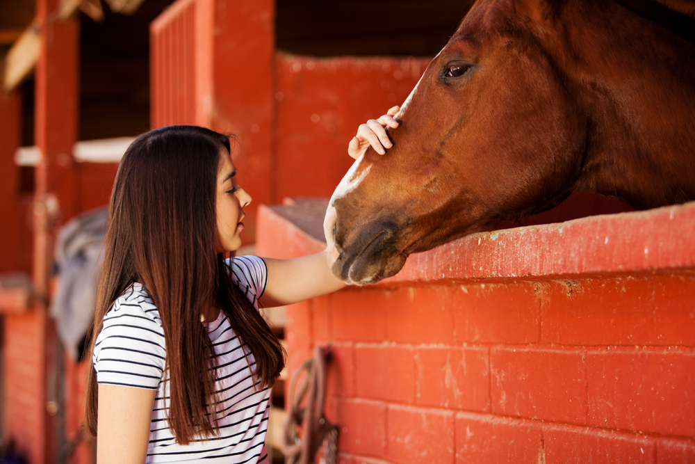 Apego por el caballo Inconvenientes del ‘fruto por alimento’