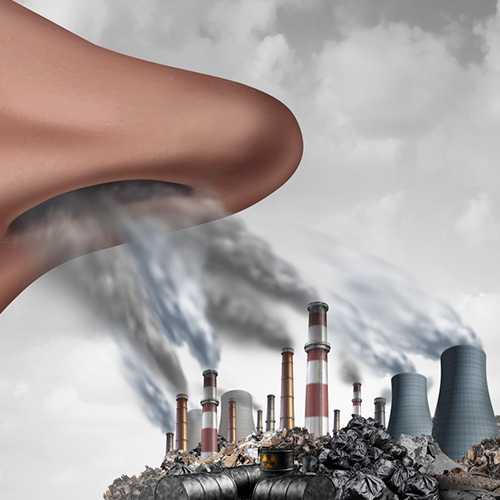 Eliminar o limitar la exposición a toxinas y contaminantes ocupacionales o ambientales