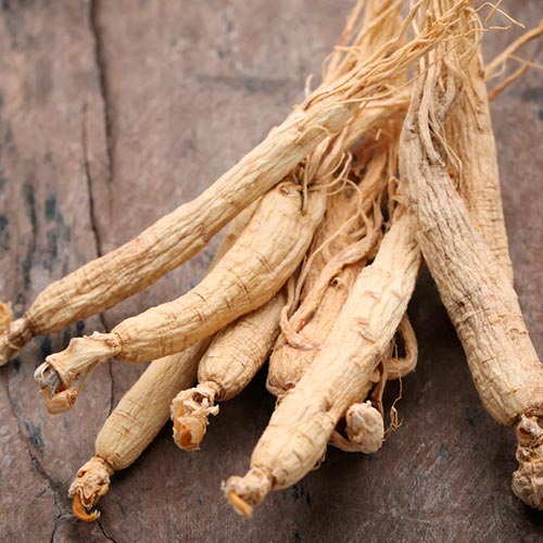 Gingseng