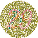 Test de Ishara 29