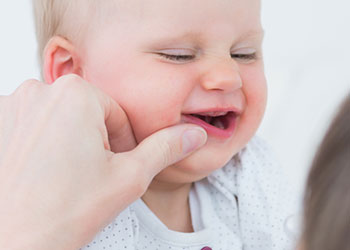 Reflejo de búsqueda o de seguimiento