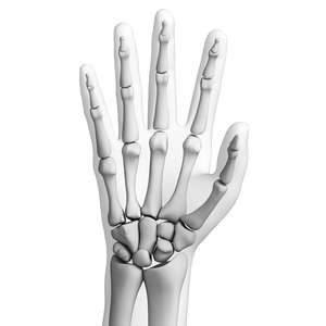 Otras características