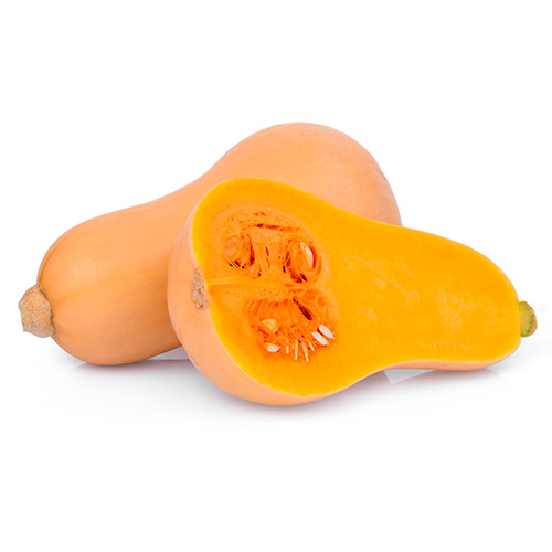 Curcubita moschata (Calabaza butternut)