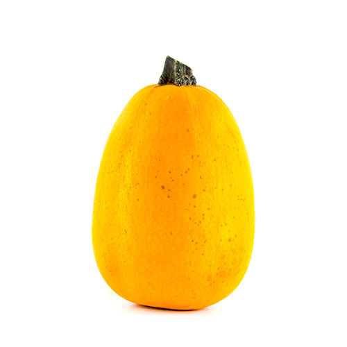 Cucurbita Pepo Espagueti (Calabaza espagueti)