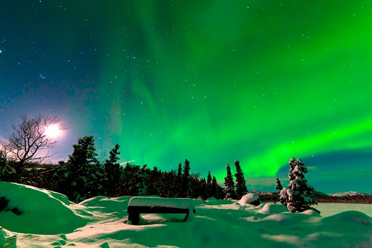 Aurora boreal Aurora boreal