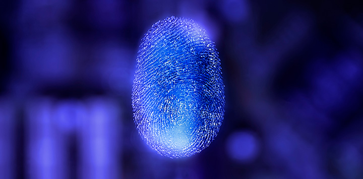 Biometría dactilar neonatal