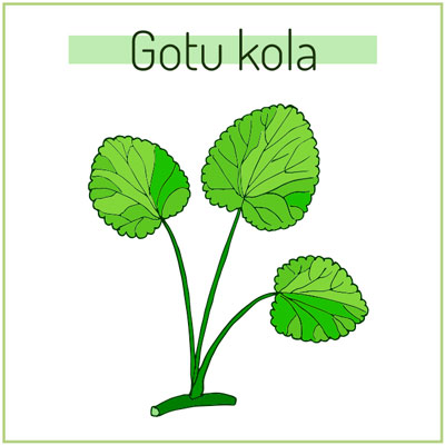 Centella asiática