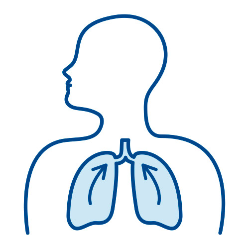 Fortalece el sistema respiratorio