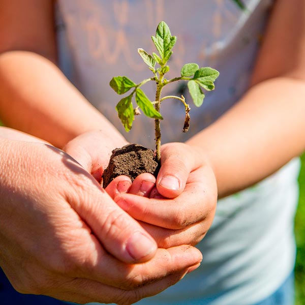 Inteligencia Naturalista