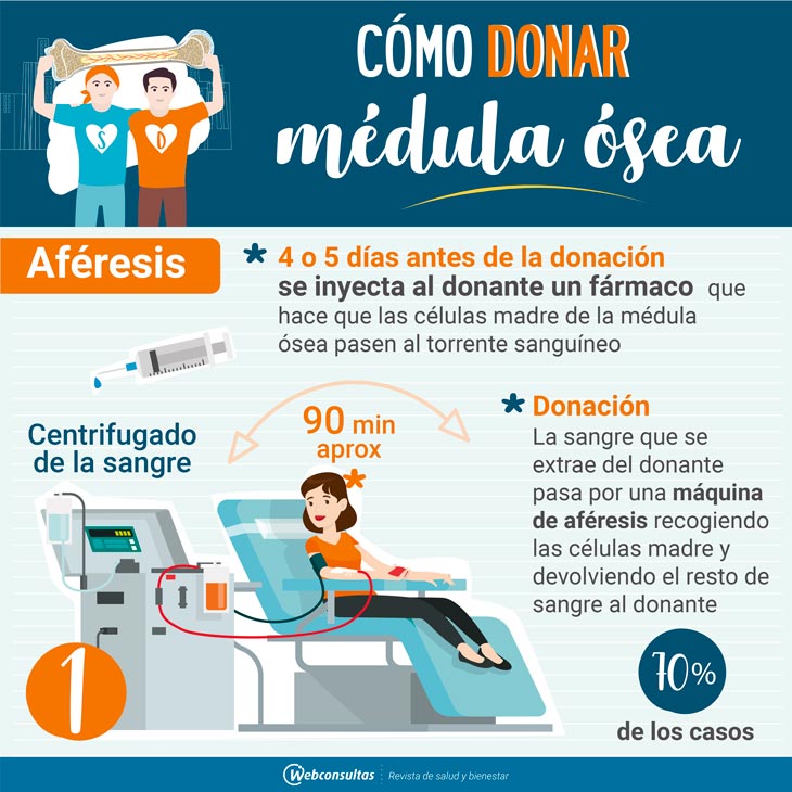 Donar médula, aféresis