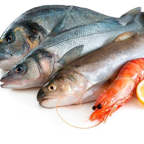 Fuentes alimenticias de agua