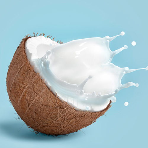 Los alimentos que llevan grasas vegetales son más sanos