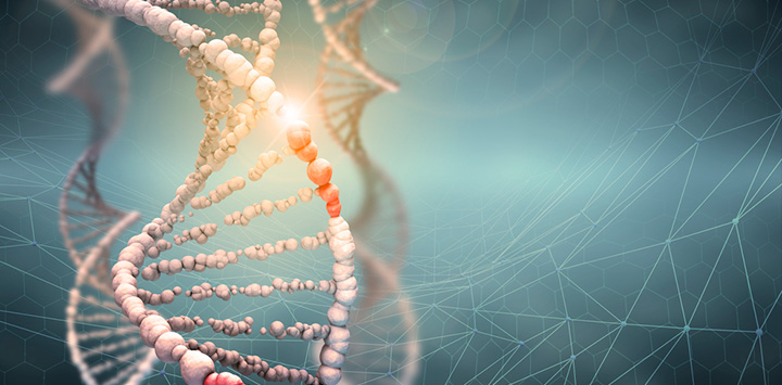 Huella genética: ADN