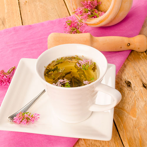 Suplementos compuestos con plantas medicinales