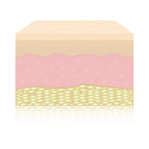 Desacelera el fotoenvejecimiento de la piel