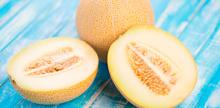 Melón galia