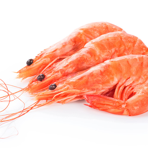 Gambas