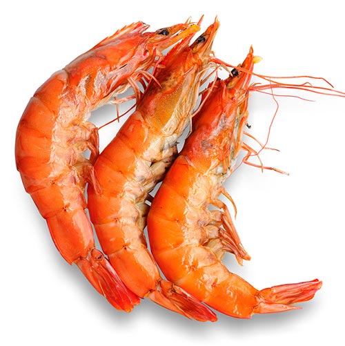 Langostinos