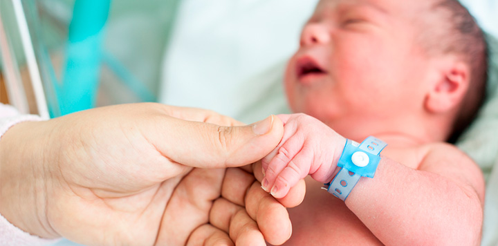 Pulseras identificativas